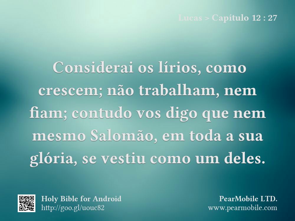 Lucas, Capítulo 12:27